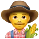 🌽CORN