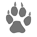 Tiffanywolff's Pack