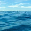 SEASC DISCORD CHANNEL