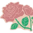 The Rose Garden