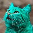 Green Cat Family