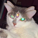 𝐋𝐈𝐋 𝐒𝐀𝐍𝐂𝐓𝐔𝐌