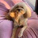 oscar.の部屋