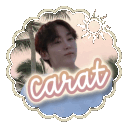 🐚 : carat