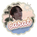 Discovery icon for 🐚  : carat Discord server