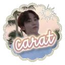 🐚 : carat