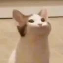 Cloudus