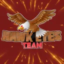 Hawk Eyes Team