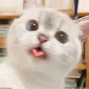 Keneki's Playground Discord server icon