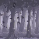 ☽ 𝐄𝐥𝐰𝐲𝐧𝐧 ☾