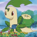 ≀ lilycove city ∿ ⊹    Discord Server Icon
