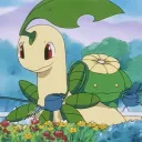 ≀ lilycove city ∿ ⊹  Discord Server Icon