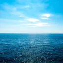 GangstarFish’s ocean of pain