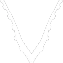 The VGaming Junkies