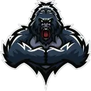 Jamaican's Paradise Discord server icon