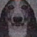 𝙤𝙡𝙖 😎👌 server icon