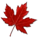 CandiceTheCanuck's Treehouse