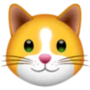 Kitten.finance