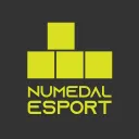 Numedal Esport