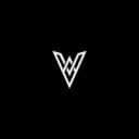 VIRGO TEAM