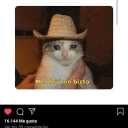 cupid corner Discord server icon