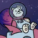 Payto's Space Programme