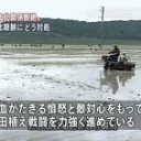 ぱらのいあー