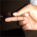 niggers
