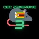 chuck e cheese zimbabwe sever 3: NO NOT THE D