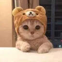 alli_cat_2004's server