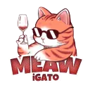 🐾 Meow 🐾