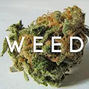 W E E D