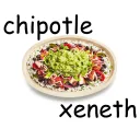 the xeneth server