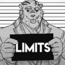 Limits VN