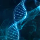 Genetic Bloom