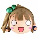 Si