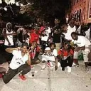 gang gang