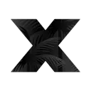 Paradise X Government