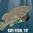Team Billy: Gay Fish