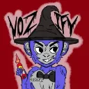 Vozify's Community