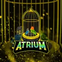 Atrium