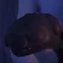 dragon trainers's icon