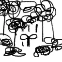 Dorn's Forest