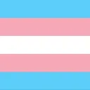 Transféminismes FR