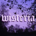 wisteria