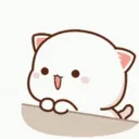 𝙎𝙤𝙛𝙩 𝙎𝙦𝙪𝙖𝙙