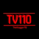 TheVlogger110's server