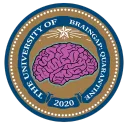 University of Braingap