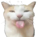 wemcord Discord Server Icon