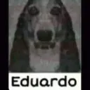 Bots de Madapaka